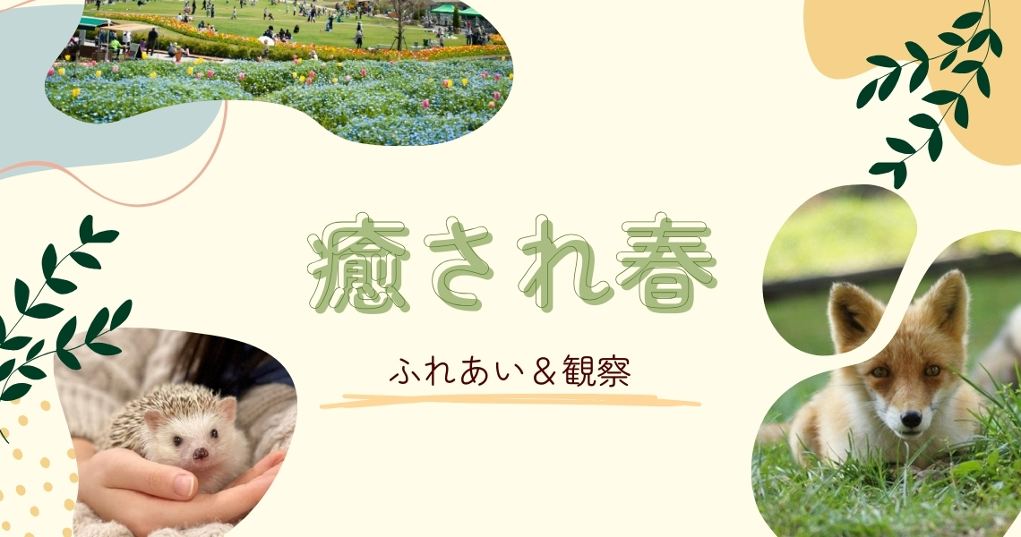 春レジャー特集